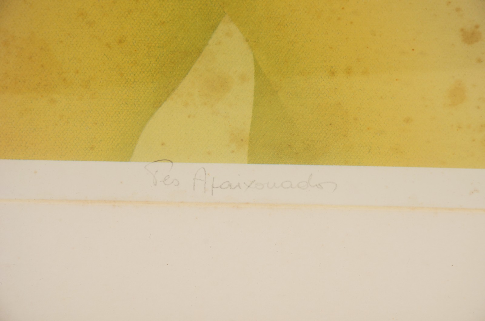 Pietrina Checcacci (1941), Pés Apaixonados - foto 4 de 7