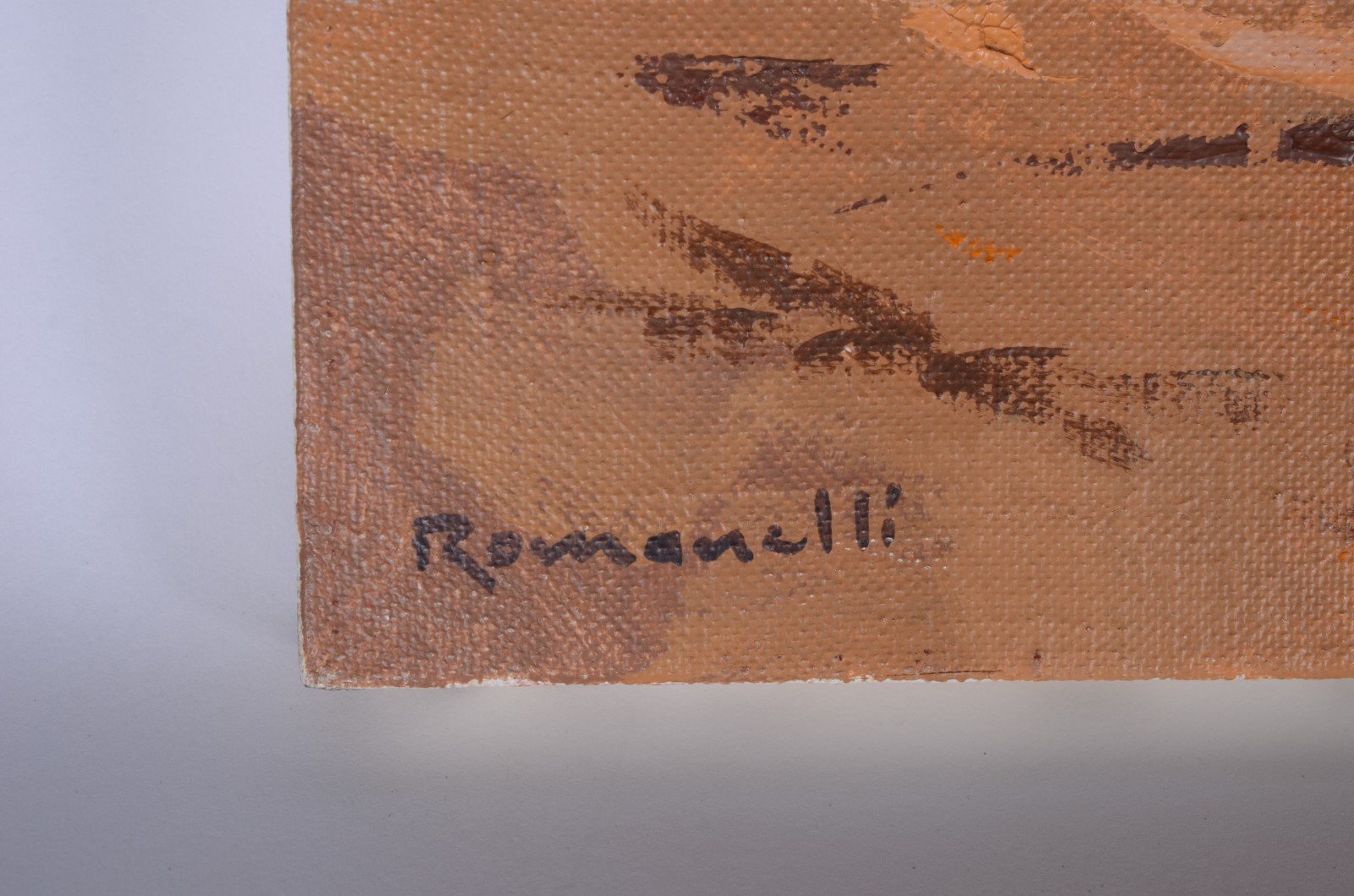 Armando Romanelli (1945), Canavial - foto 2 de 5