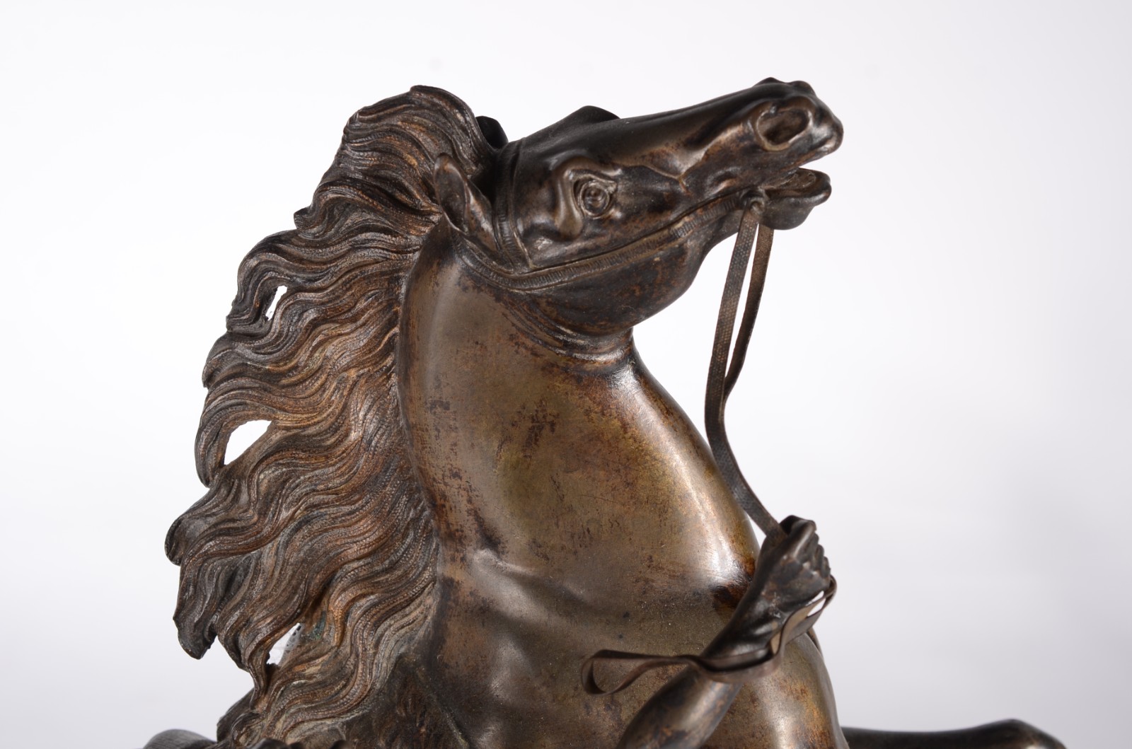 The horse of Marly - foto 3 de 7
