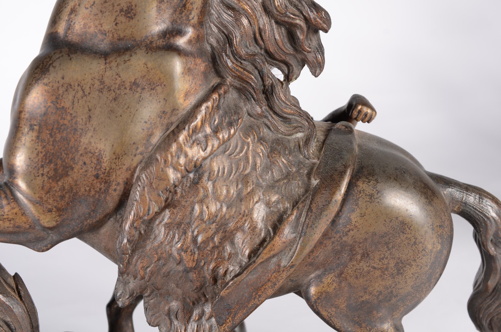 The horse of Marly - foto 6 de 7