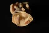 Netsuke de marfim oriental representando figura... - Netsuke de marfim oriental representando figura masculina com kimono e espada. Assinado.