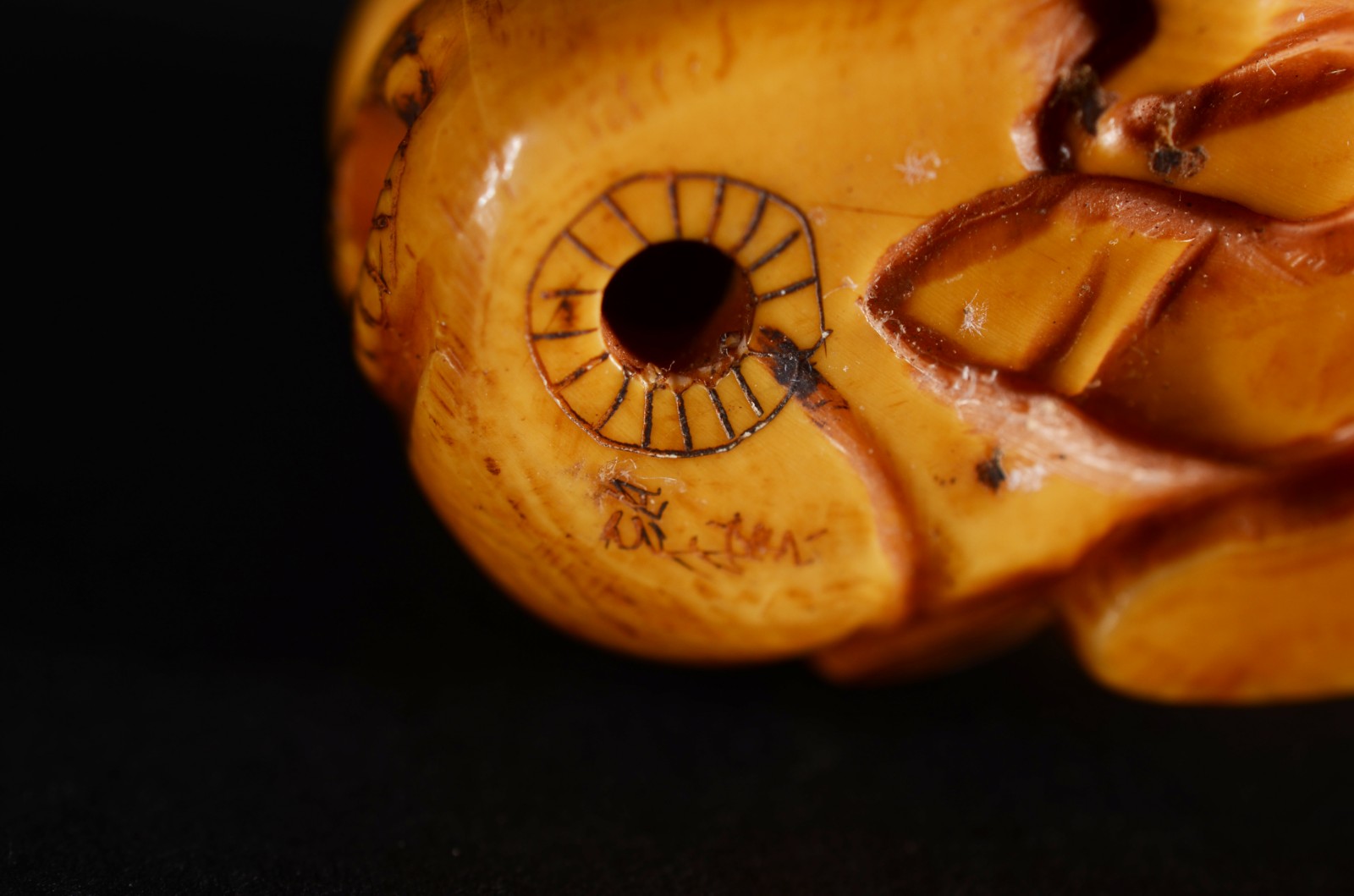 Netsuke de marfim oriental representando Cão de Fó. Assinado. - foto 6 de 6