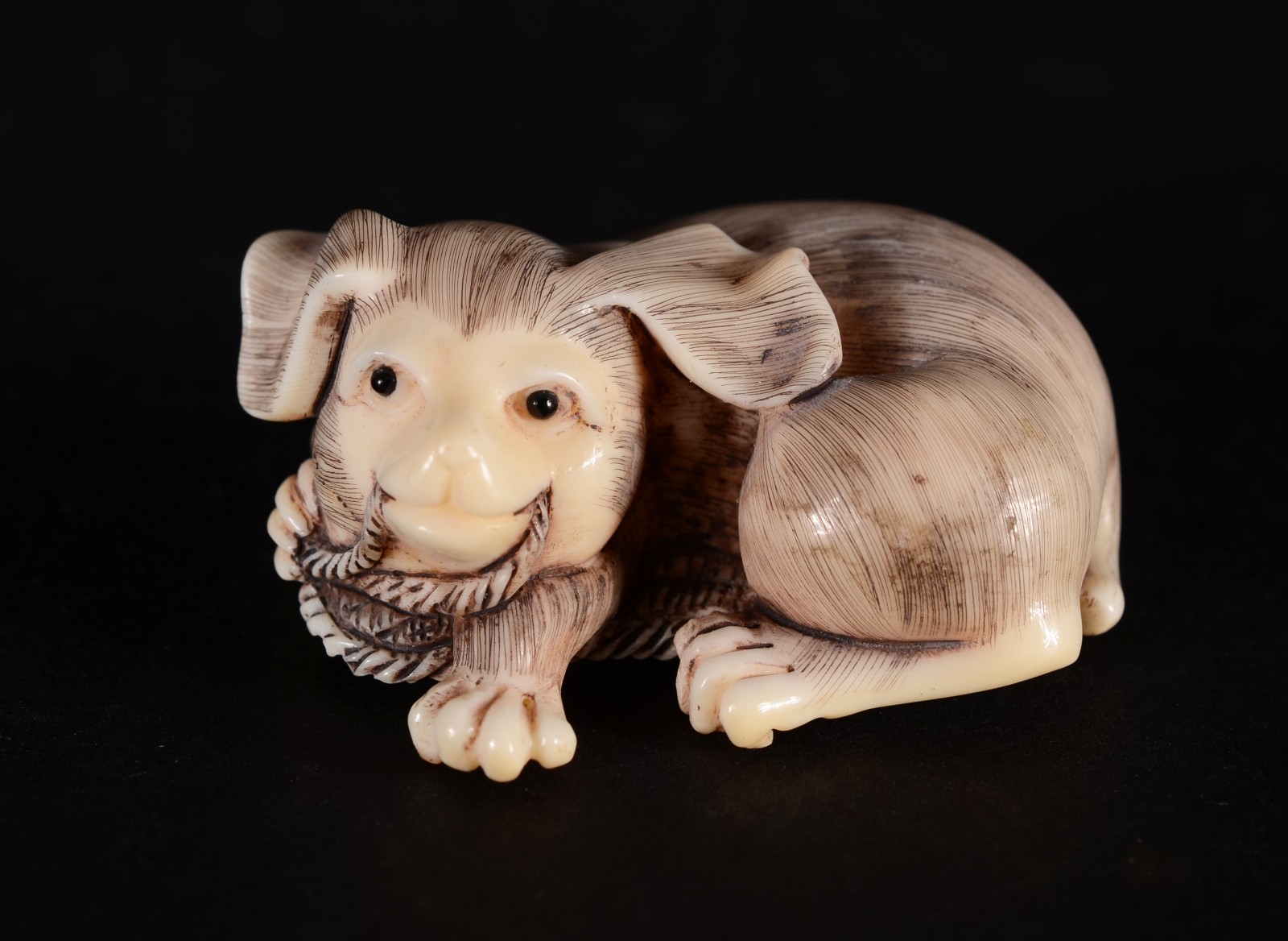 Netsuke de marfim oriental representando cachorro com corda na boca... - foto 1 de 5