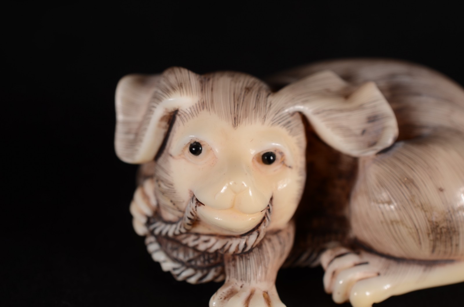 Netsuke de marfim oriental representando cachorro com corda na boca... - foto 2 de 5