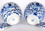 Par de potiches de porcelana chinesa decorados ... - Par de potiches de porcelana chinesa decorados com figuras típicas e guirlandas florais em azul e branco. Assinados nas bases.