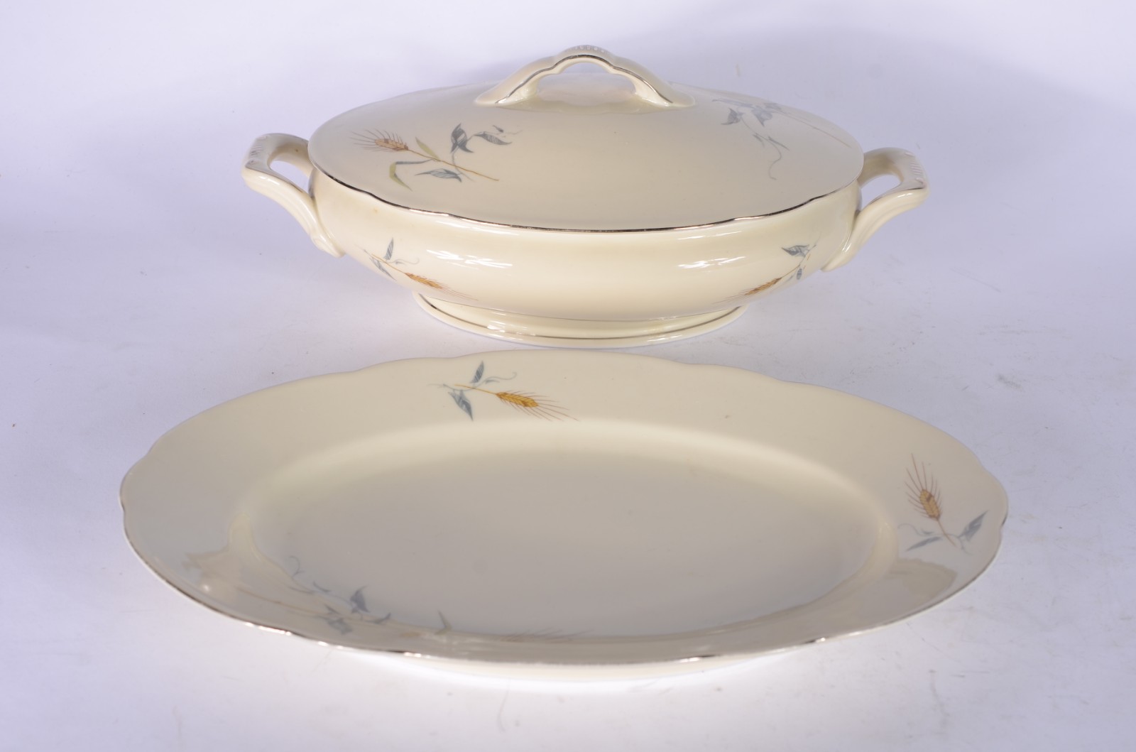 Aparelho de jantar de porcelana tcheca na cor bege com delicada... - foto 9 de 11