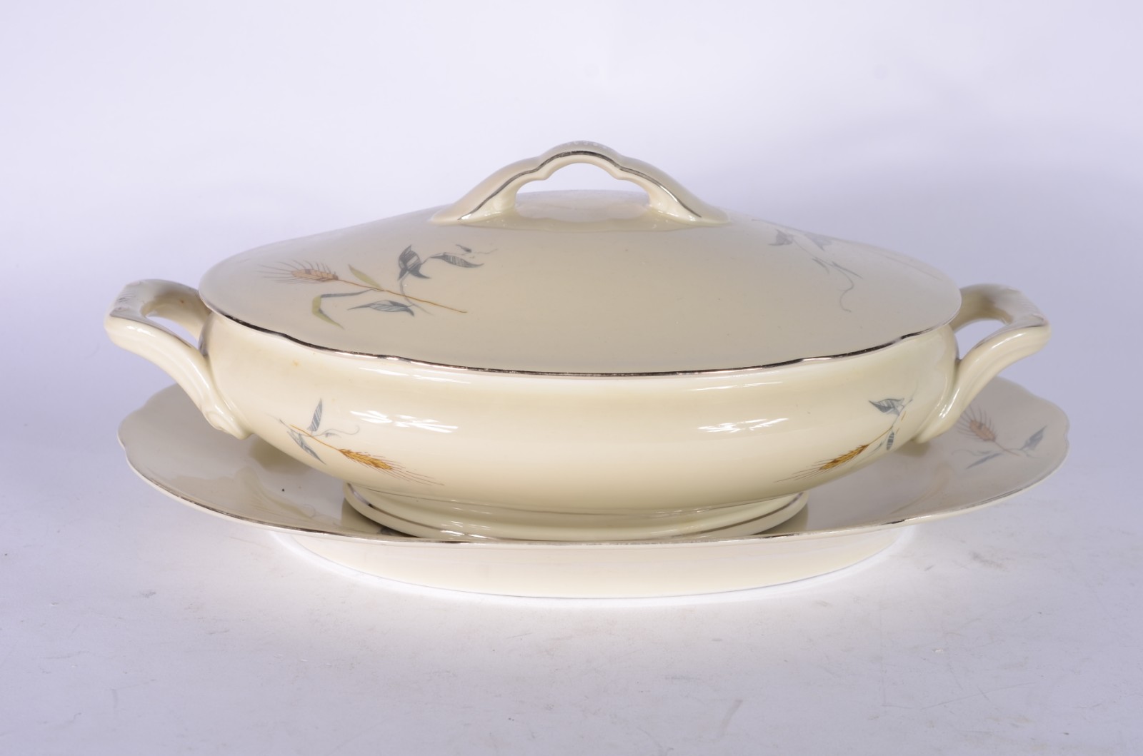 Aparelho de jantar de porcelana tcheca na cor bege com delicada... - foto 8 de 11