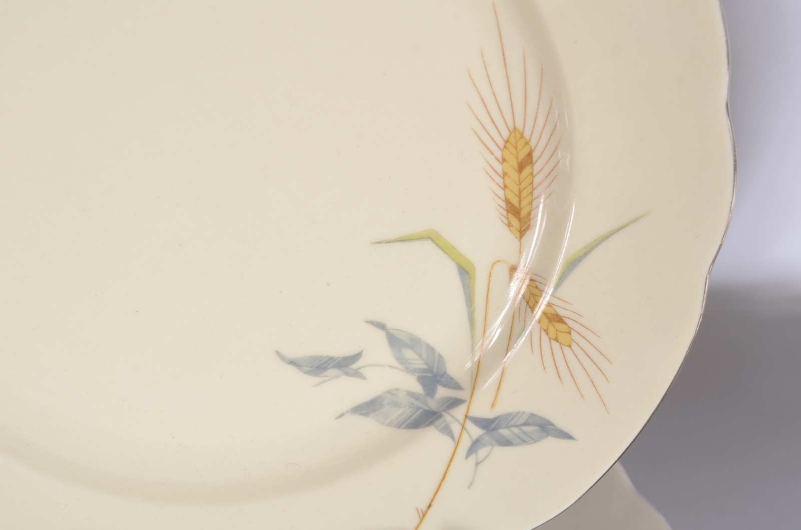 Aparelho de jantar de porcelana tcheca na cor bege com delicada... - foto 5 de 11