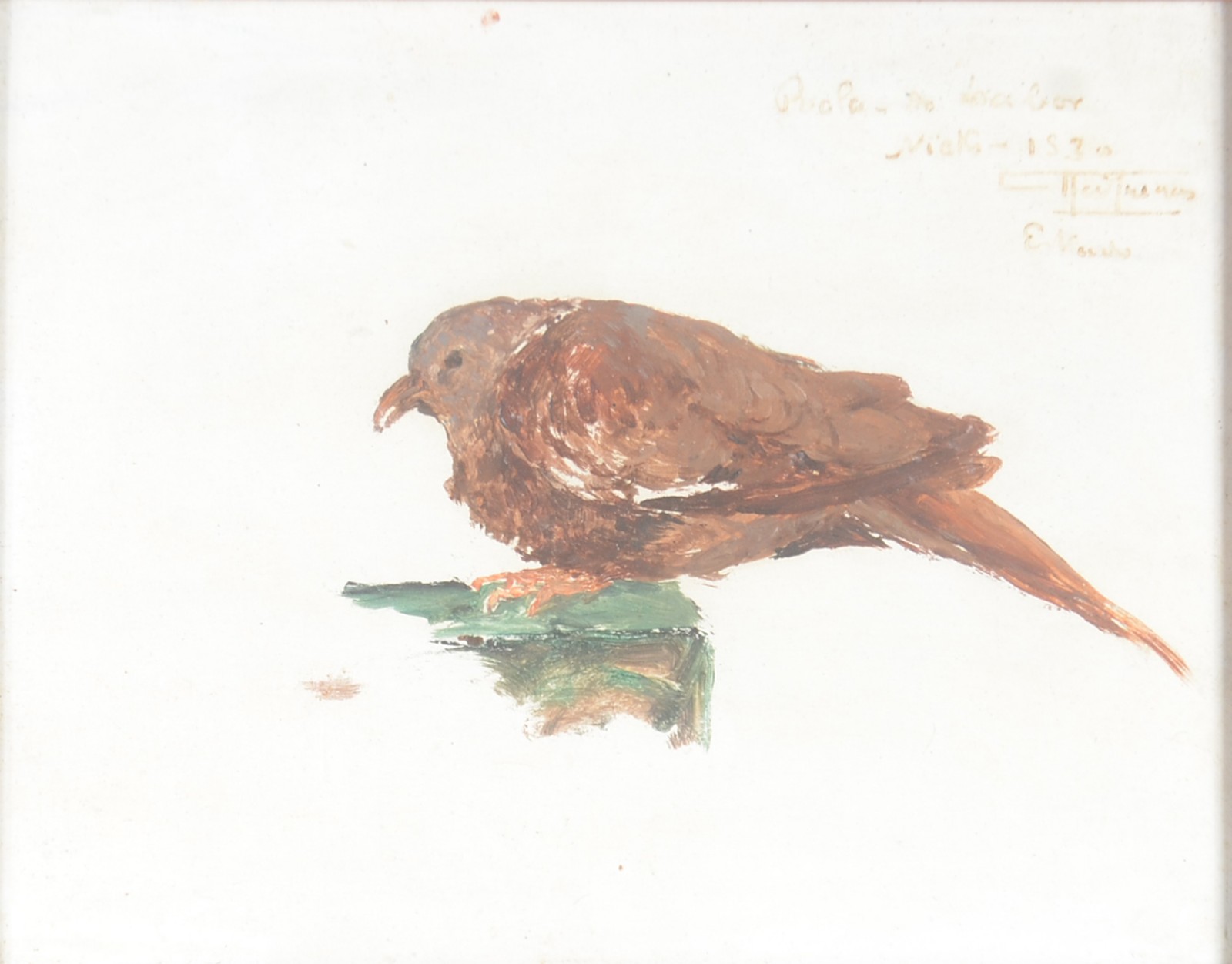 Antônio Parreiras (1860-1937), Passaro - foto 1 de 6