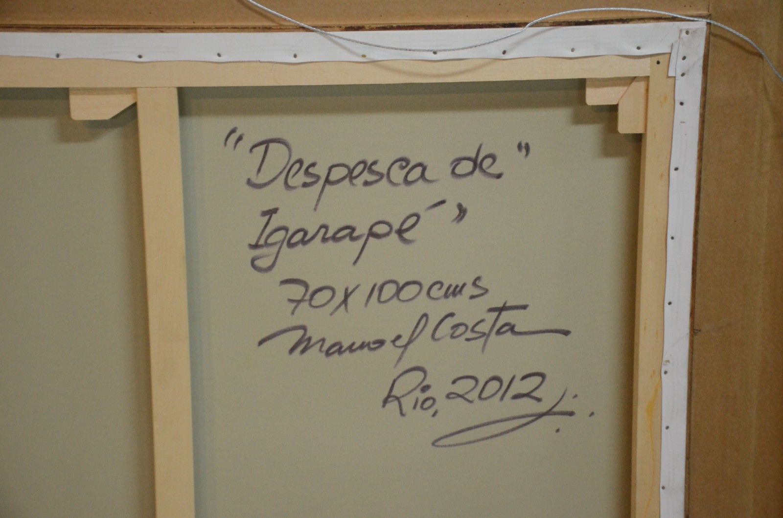 Manoel Costa (1943), Despesca de Igarapé - foto 5 de 5