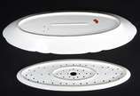 Travessa para peixe de porcelana francesa A.L.G... - Travessa para peixe de porcelana francesa A.L.Garraux,  com placa vazada sobreposta, decoração floral e borboletas em policromia. Século XIX.