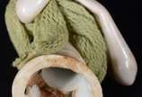 Pequeno e antigo busto de boneca de porcelana p... - Pequeno e antigo busto de boneca de porcelana policromada.
