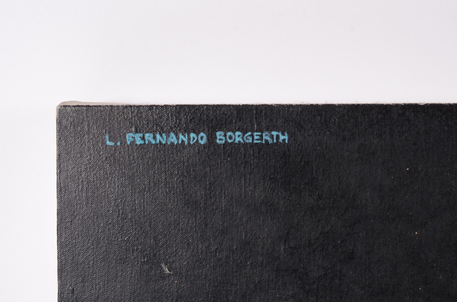 Luiz Fernando Borgerth (1945), Produtos farmacêuticos - foto 3 de 8
