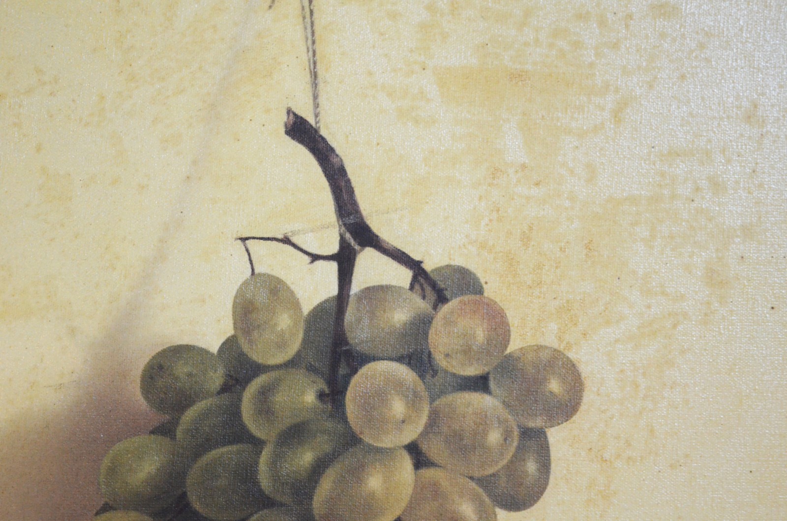Uvas e Peras - foto 6 de 9