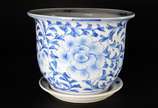 Cachepot com prato de porcelana oriental azul e... - Cachepot com prato de porcelana oriental azul e branca (fio de cabelo no fundo).