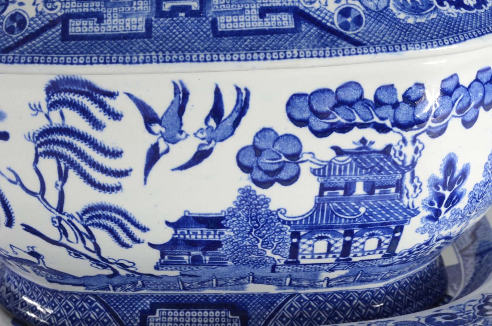 Ridgway Semi China, Blue willow - Galeria Alphaville