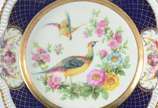 Bavaria (1747),  - Par de pratos de porcelana alemã da Bavaria decorados com aves do paraíso e flores em policromia, bordas em azul cobalto recortadas, detalhes vazados.