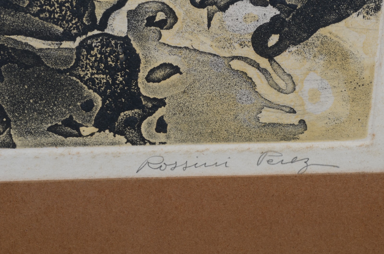 Rossini Perez (1931-2020) - foto 3 de 5