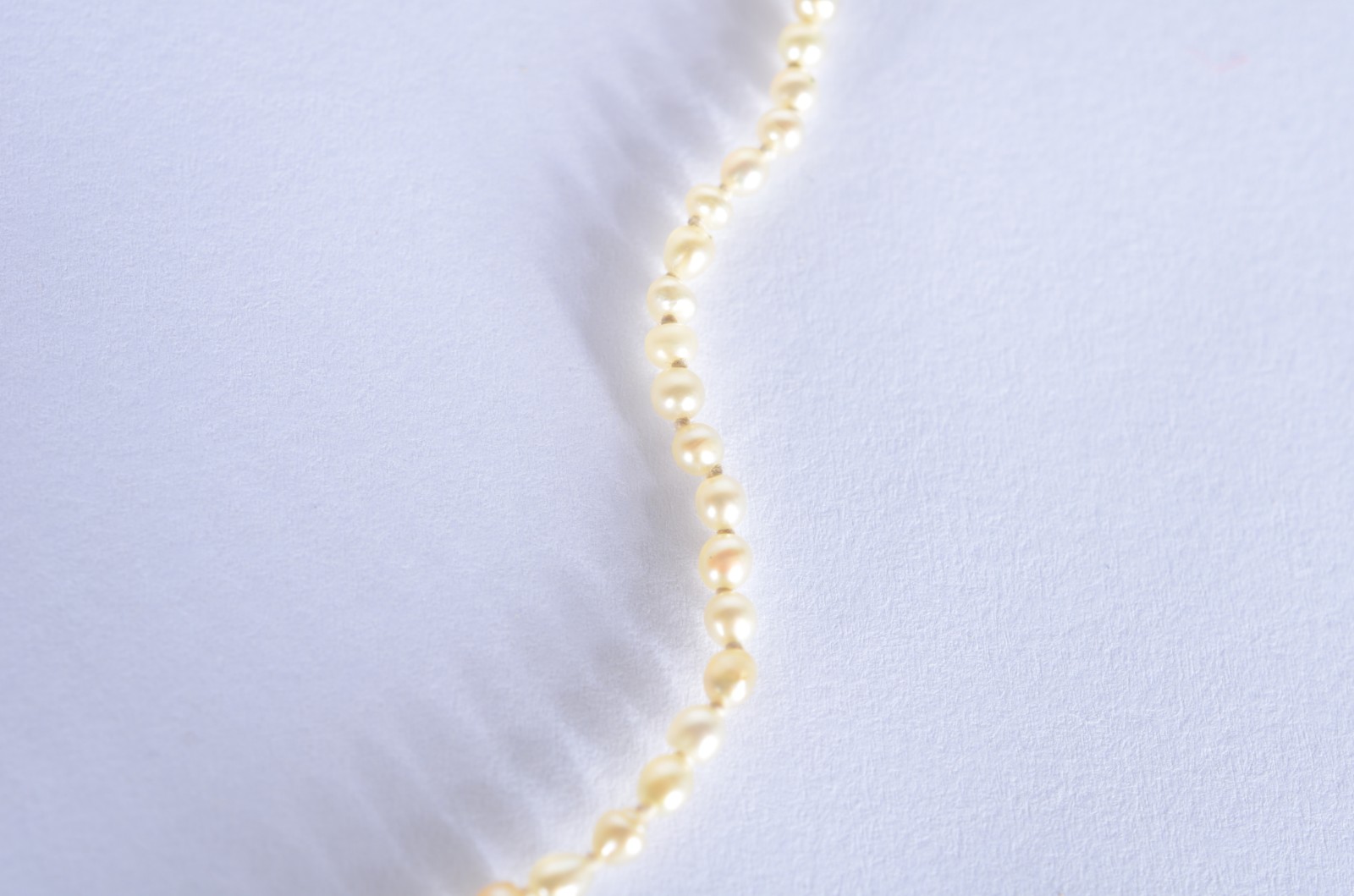 Colar de mini perolas com fecho de ouro 18 k.(Por motivos de... - foto 5 de 5