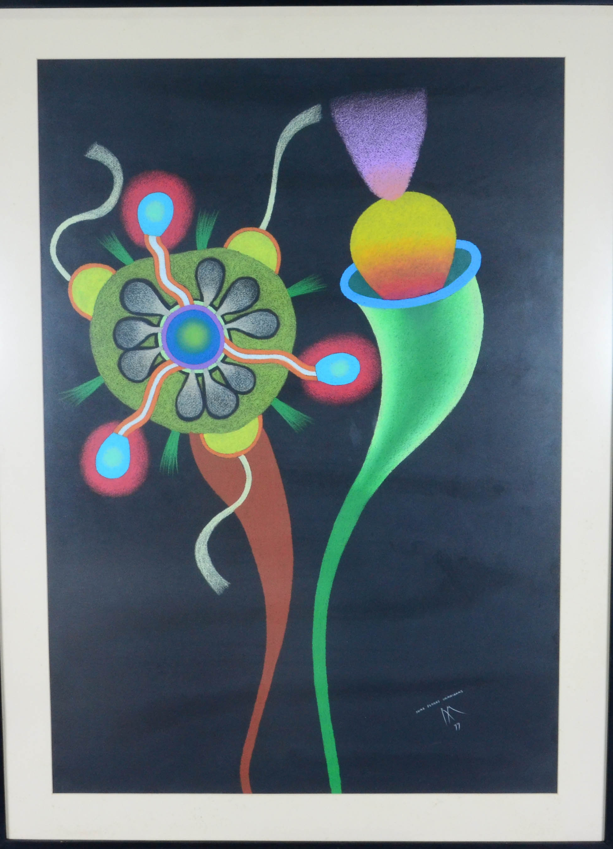 Roberto Magalhães (1940), DUAS FLORES URANIANAS - foto 1 de 3