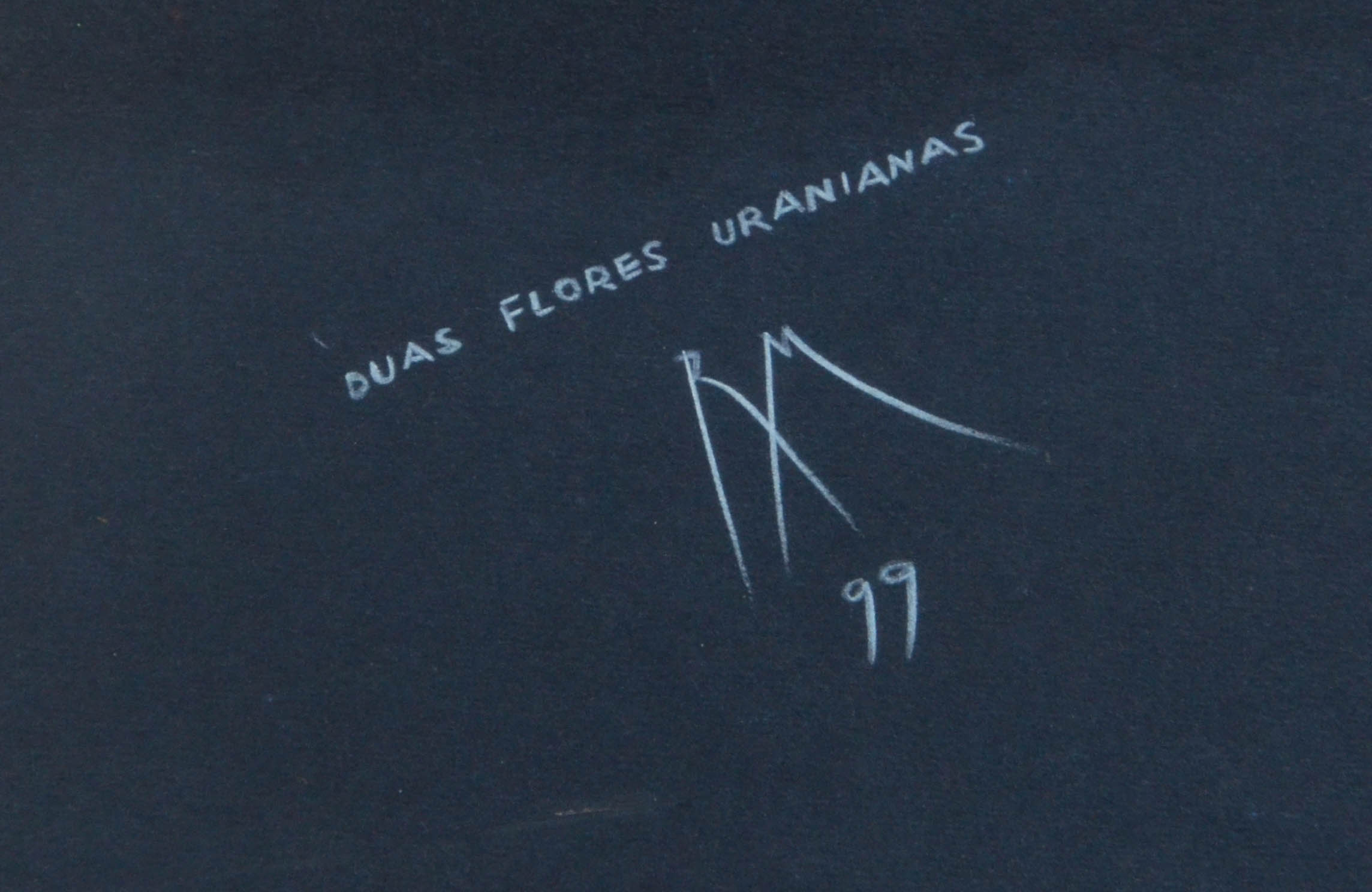 Roberto Magalhães (1940), DUAS FLORES URANIANAS - foto 2 de 3