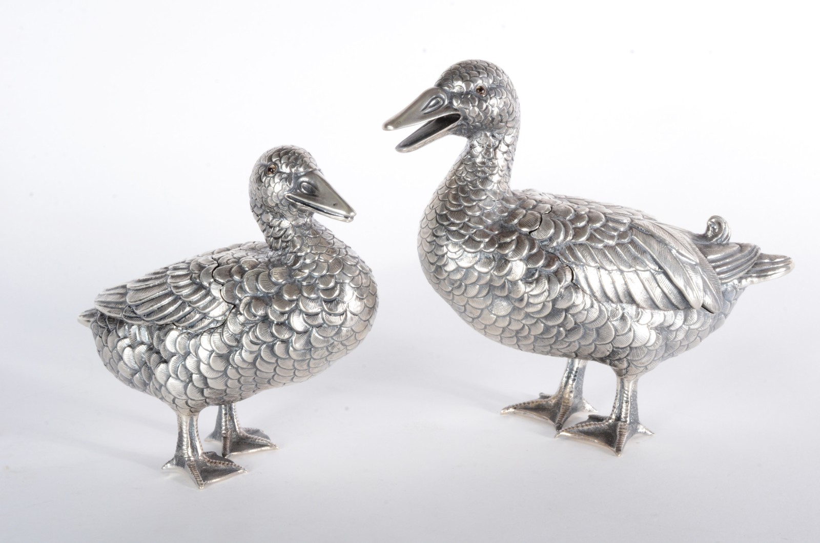 Casal de Patos - foto 1 de 10