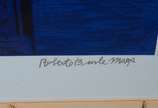 Roberto Burle Marx (1909-1994),  - Gravura "post mortem" - tiragem 80/80 (com carimbo do Projeto em relevo).