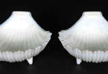 Par de conchas de opalina branca - Par de conchas de opalina branca