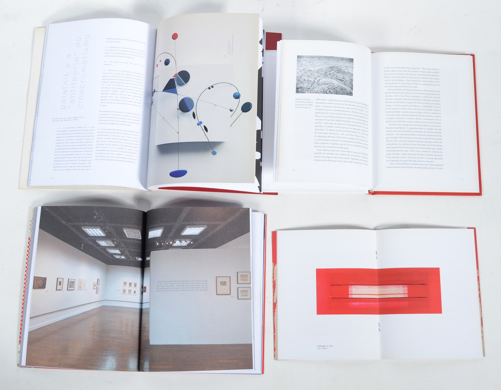 Quatro livros: A) Abrahan Palatnik B) Adriano de Aquino Lê Ivan Serpa... - foto 2 de 2