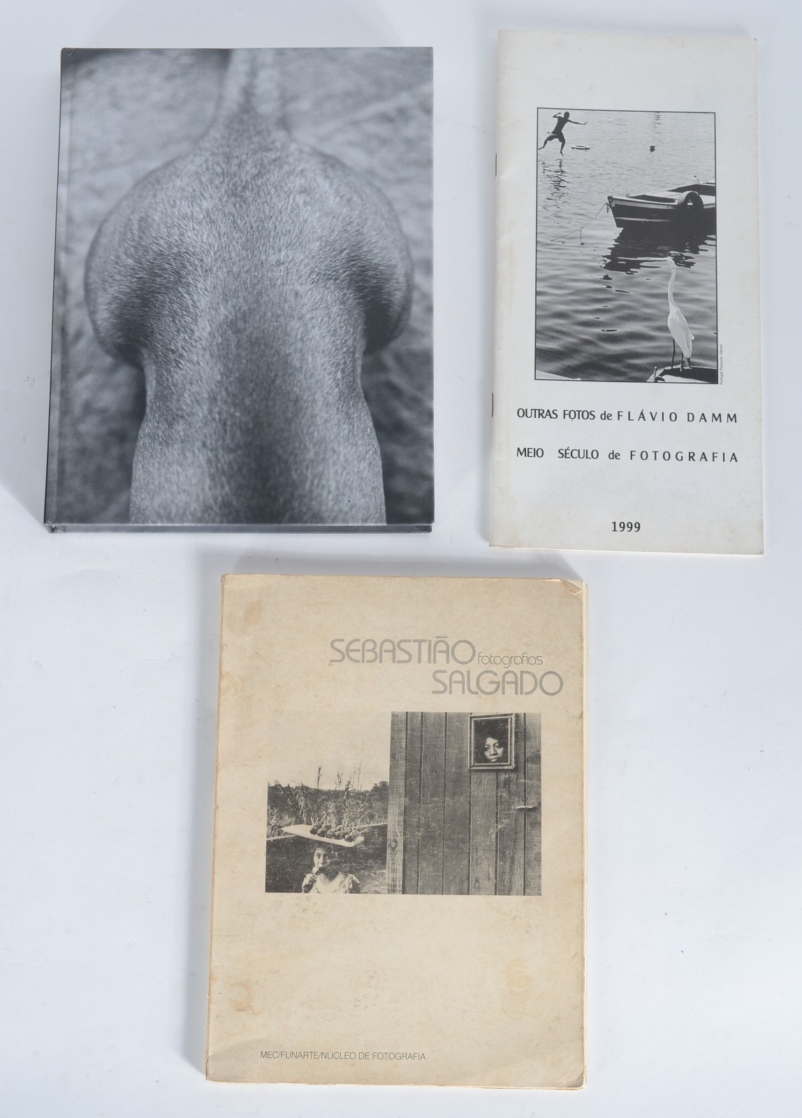 Três livros: A) Flávio Damm - Meio século de fotografia. B) Vicente... - foto 1 de 2