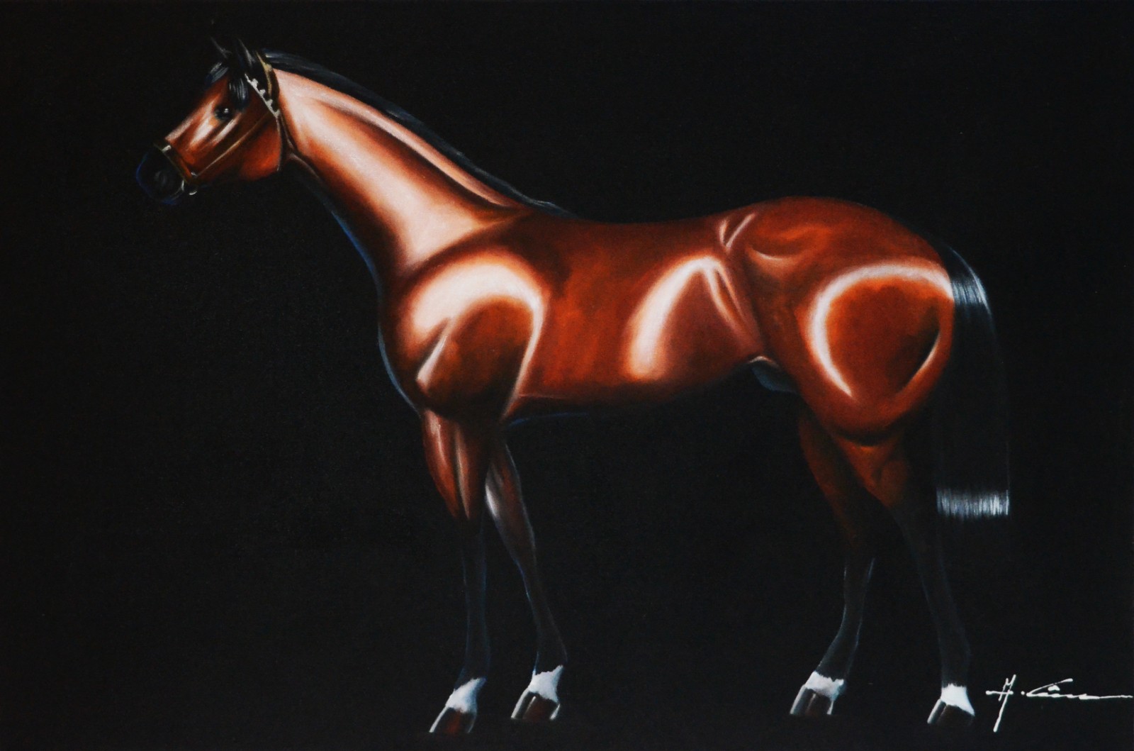 Cavalo - foto 1 de 4
