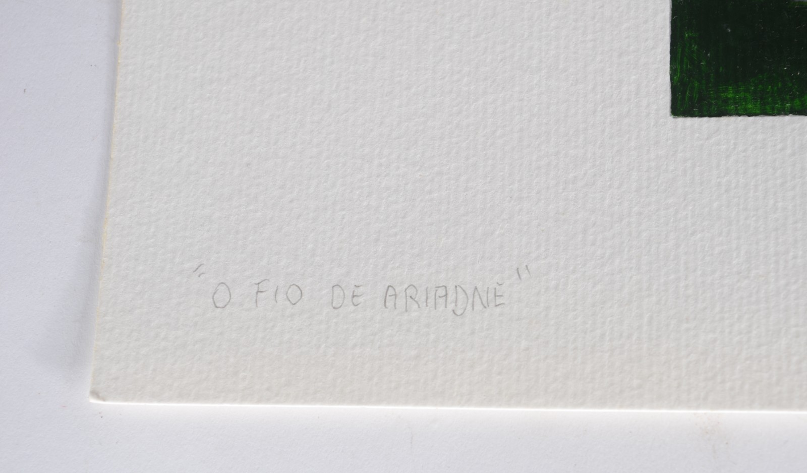 Jeannette Priolli (1948), Câmara Central e O Fio de Ariadne - foto 5 de 6