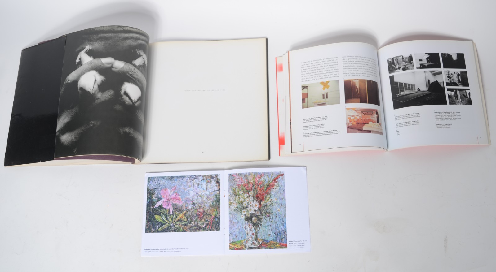 Três livros: A) Mario Cravo Neto B) Vik Muniz - Espelhos de Papel C)... - foto 3 de 3