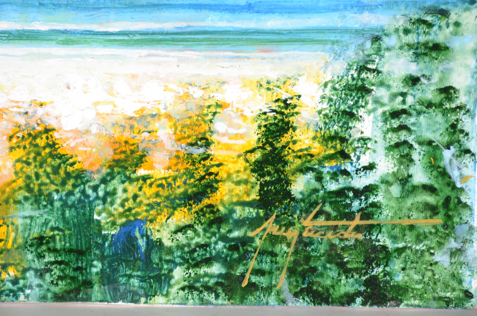 Ney Tecídio (1929), Arraial do Cabo - foto 2 de 4