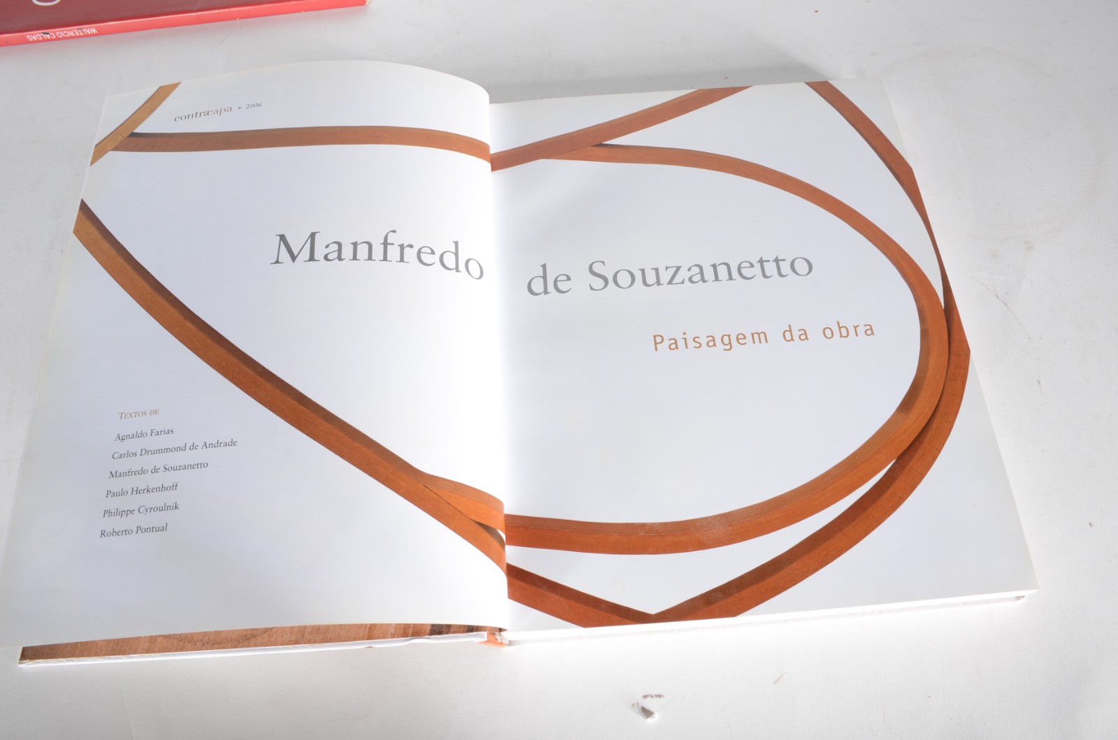 Quatro livros diversos: A) Waltercio Caldas B) Malu Fatorelli C) Luiz... - foto 11 de 11