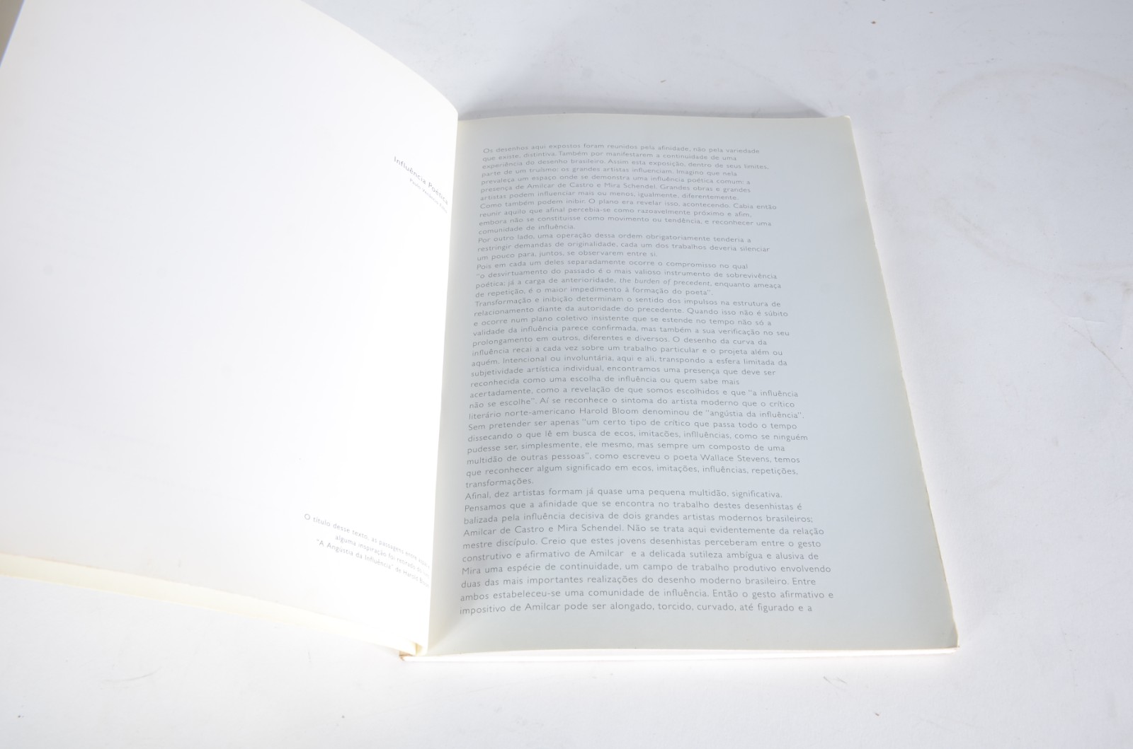 Dois livros: A) Amilcar de Castro e Mira Schendel - Influência... - foto 2 de 9