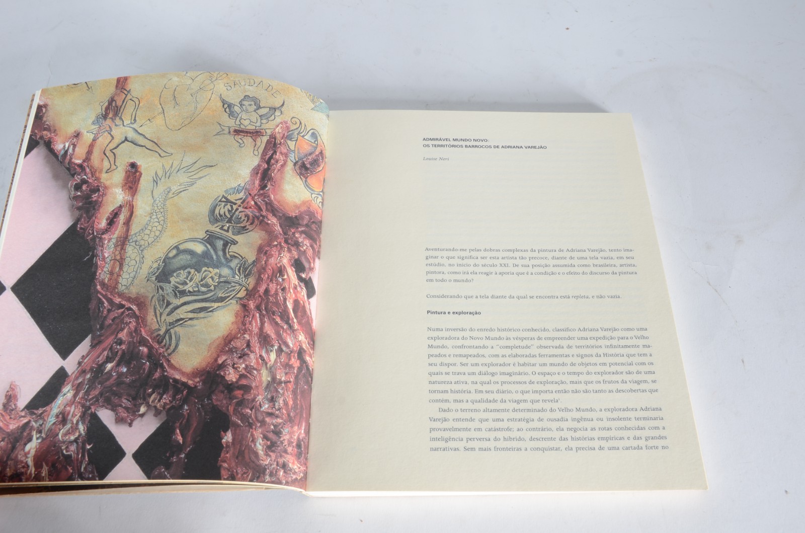 Dois livros: A) Amilcar de Castro e Mira Schendel - Influência... - foto 6 de 9
