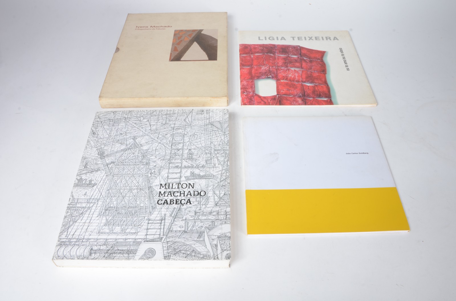 Quatro livros diversos: A) João Carlos Goldberg B) Ligia Teixeira... - foto 1 de 8
