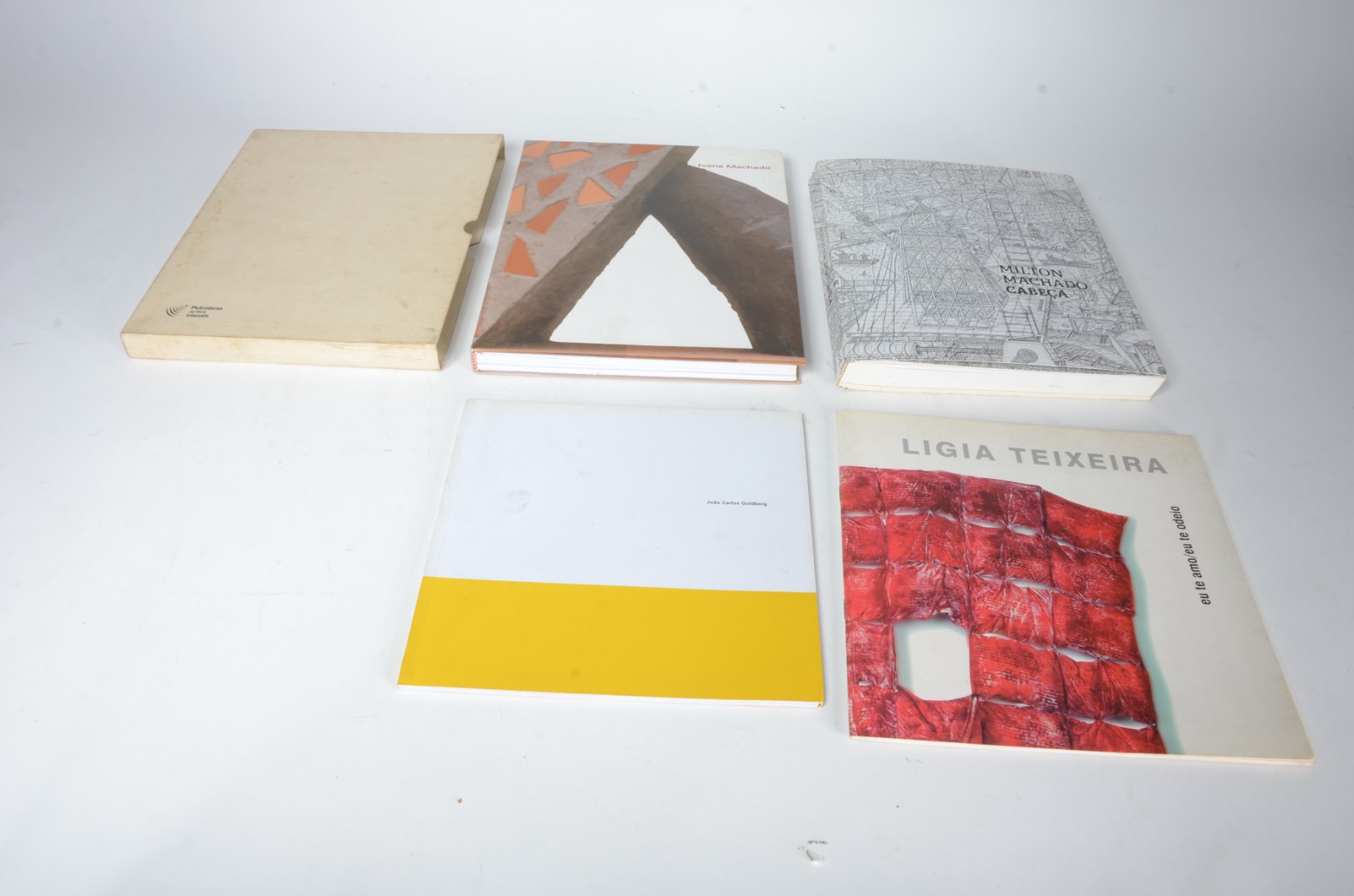 Quatro livros diversos: A) João Carlos Goldberg B) Ligia Teixeira... - foto 8 de 8