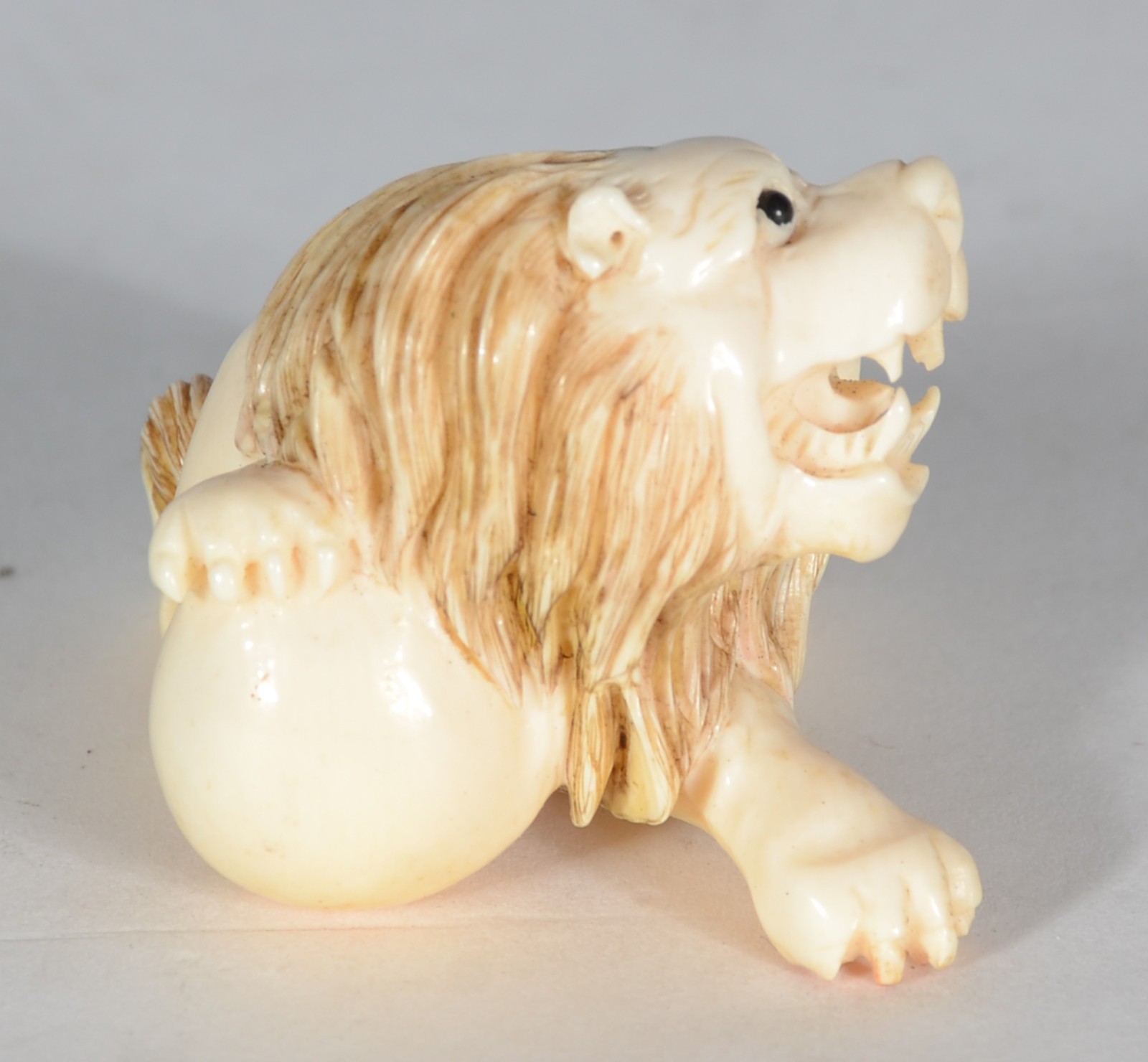 Netsuke de marfim representando leão. Assinado. - foto 2 de 5