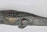 Franz Xaver Bergmann (1861-1936), Surprise Croc... - Um interessante estudo erótico em bronze austríaco do início do século XX de um crocodilo onde a parte superior é articulada para revelar uma fi...