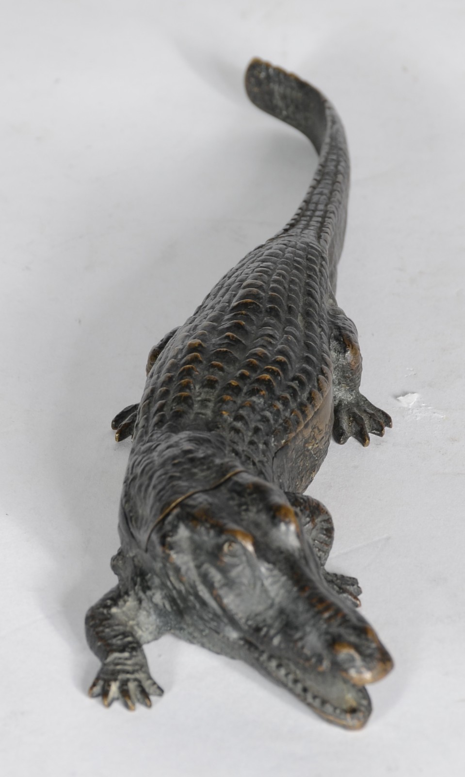 Franz Xaver Bergmann (1861-1936), Surprise Crocodile - foto 4 de 6