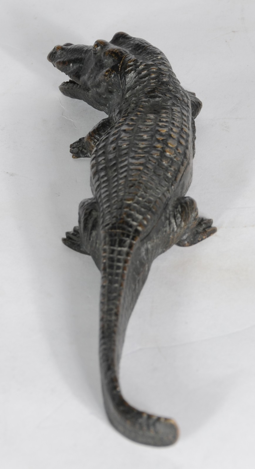 Franz Xaver Bergmann (1861-1936), Surprise Crocodile - foto 6 de 6