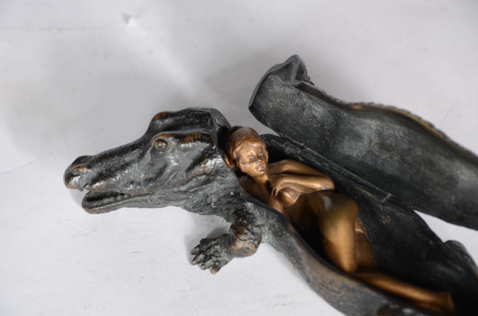 Franz Xaver Bergmann (1861-1936), Surprise Crocodile - foto 2 de 6