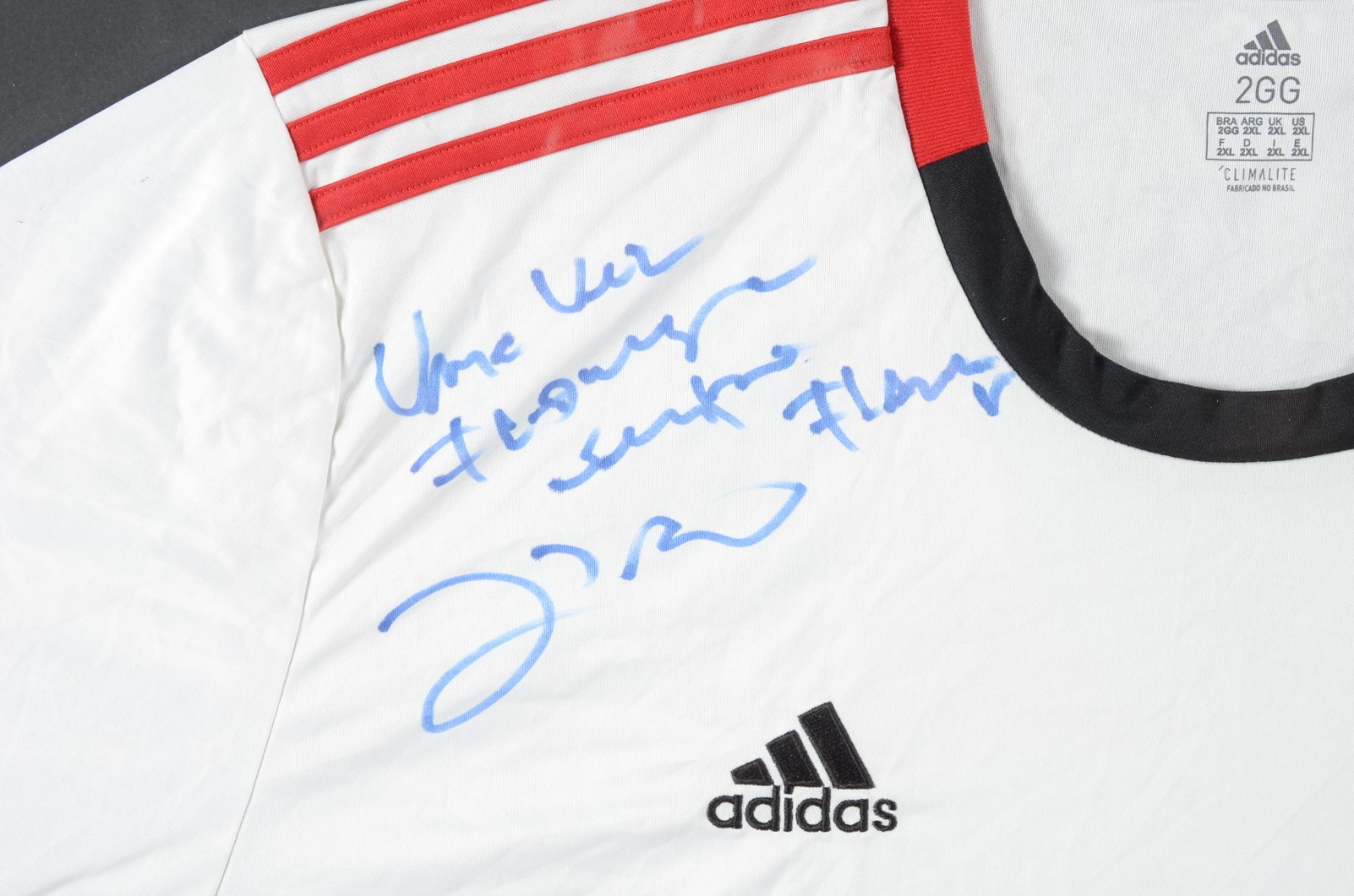 Camisa do Flamengo com autografo do Zico. - foto 3 de 4