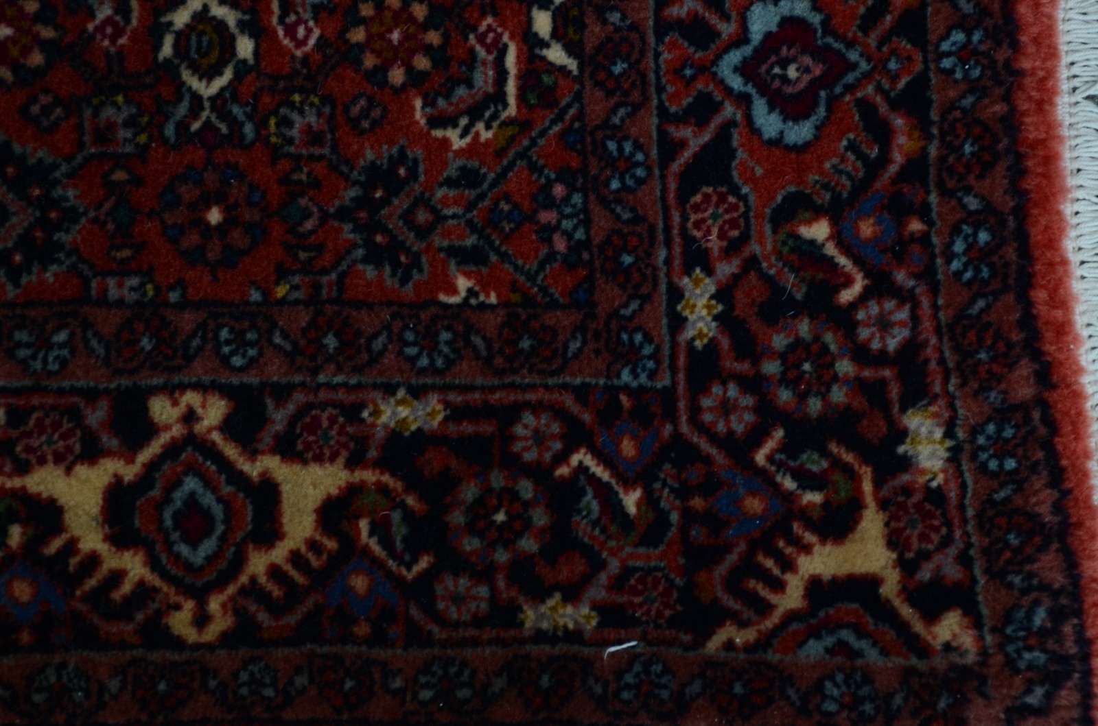 Tapete Bidjar (1801) - foto 4 de 4