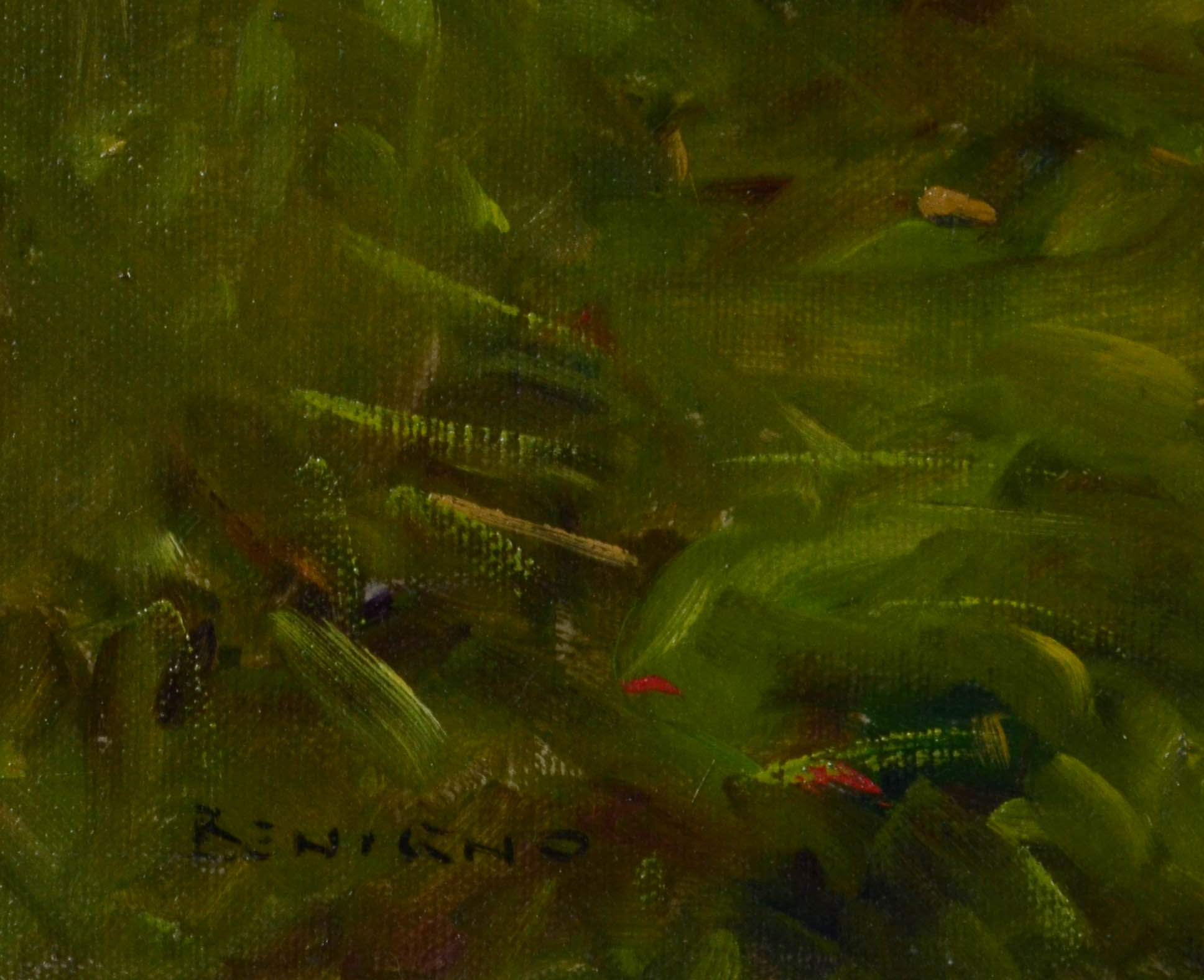 José Benigno (1955), Vilarejo em Santa Catarina - foto 3 de 4