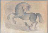 Orlando Teruz (1902-1984), Cavalo e Cachorro - Desenho. Datado 1972. Pequenos pontos de fungos.