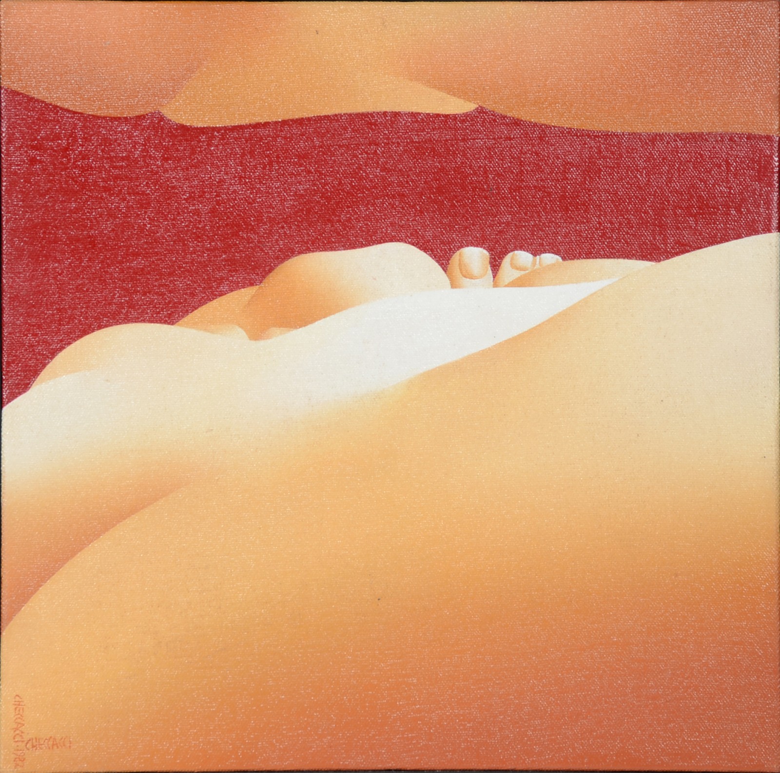 Pietrina Checcacci (1941), Carnações - foto 1 de 5