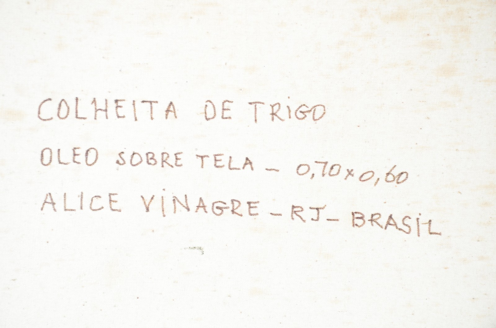 Colheita do Trigo - foto 4 de 4